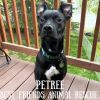 Petree photo 1