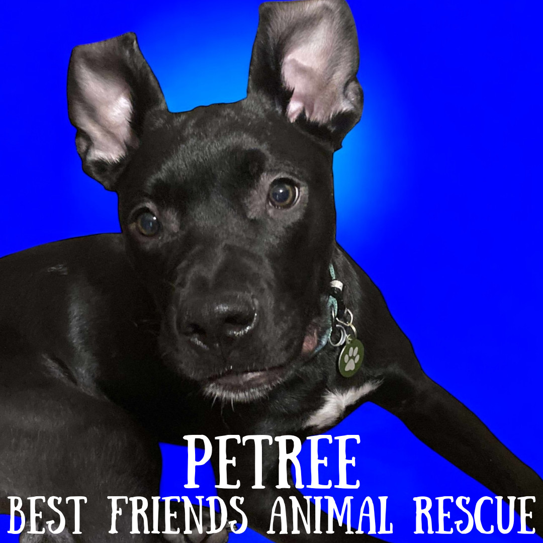 Petree