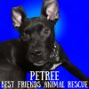 Petree photo 2