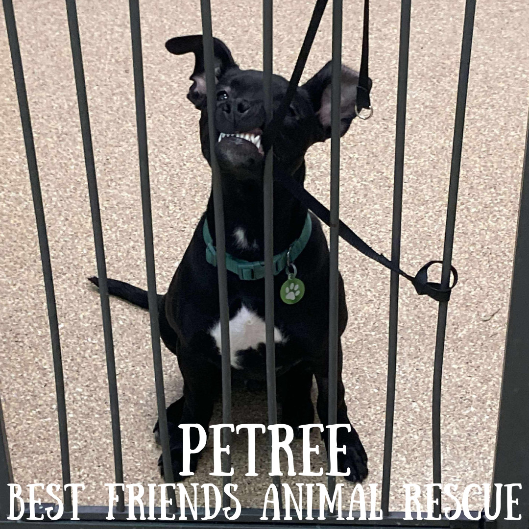 Petree