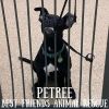 Petree photo 3