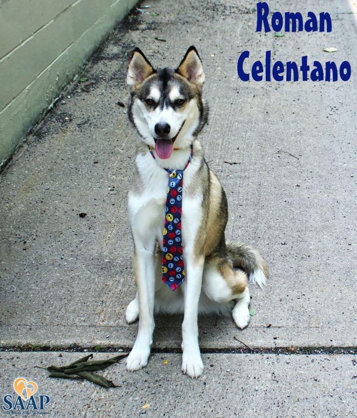 Roman Celentano 1