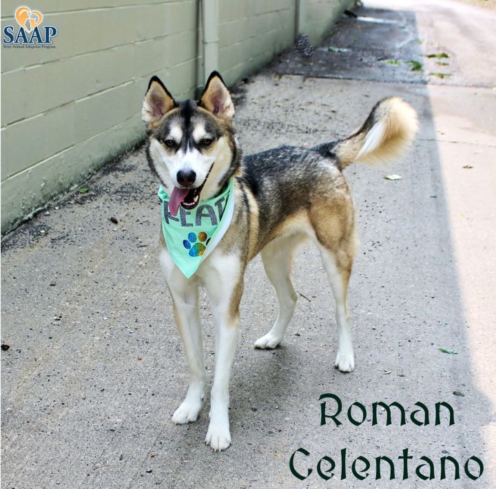 Roman Celentano 2