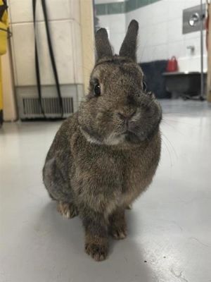 Simon