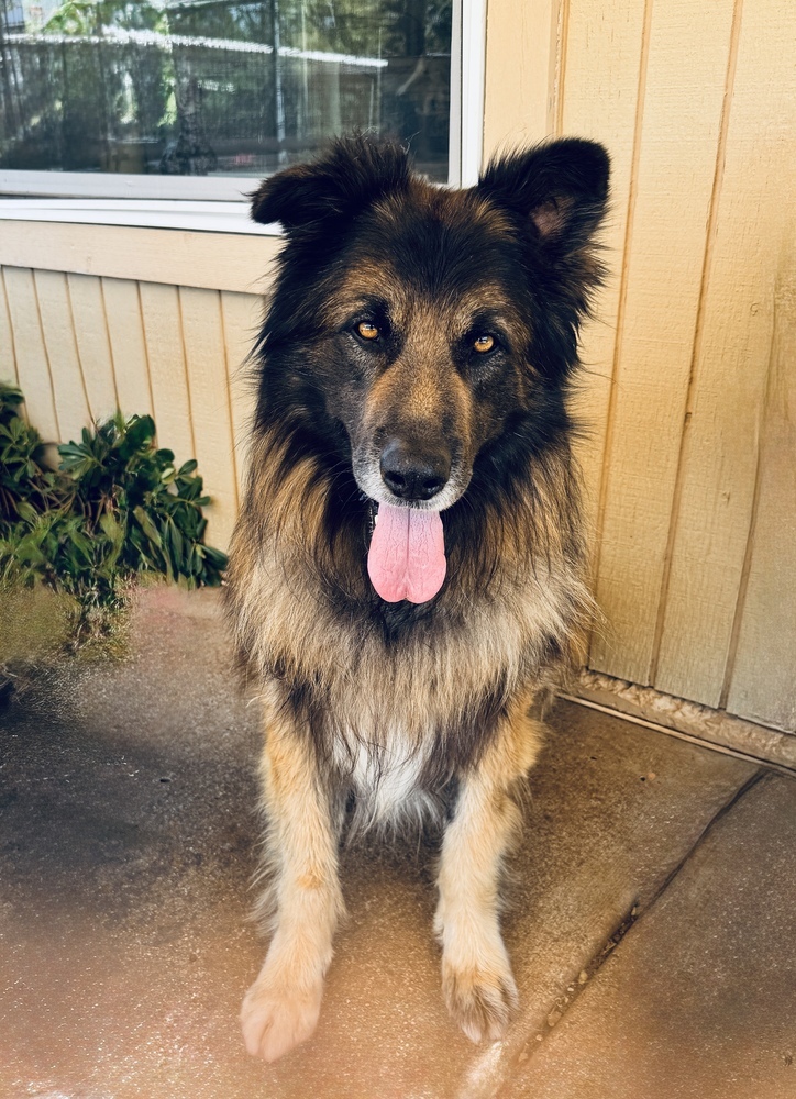 Max