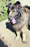 Max photo 5