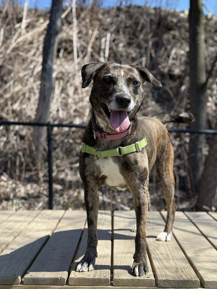 Katie