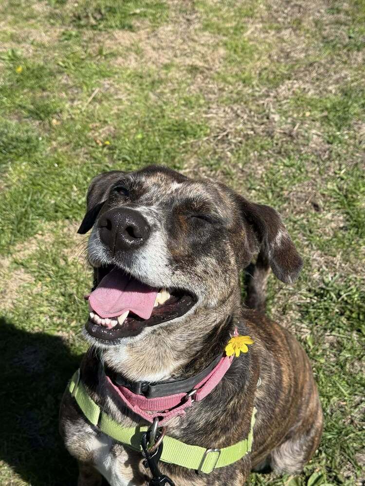 Katie