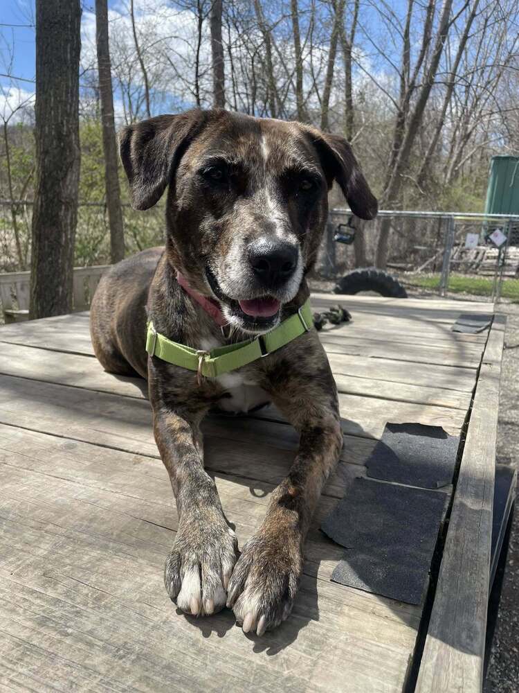 Katie