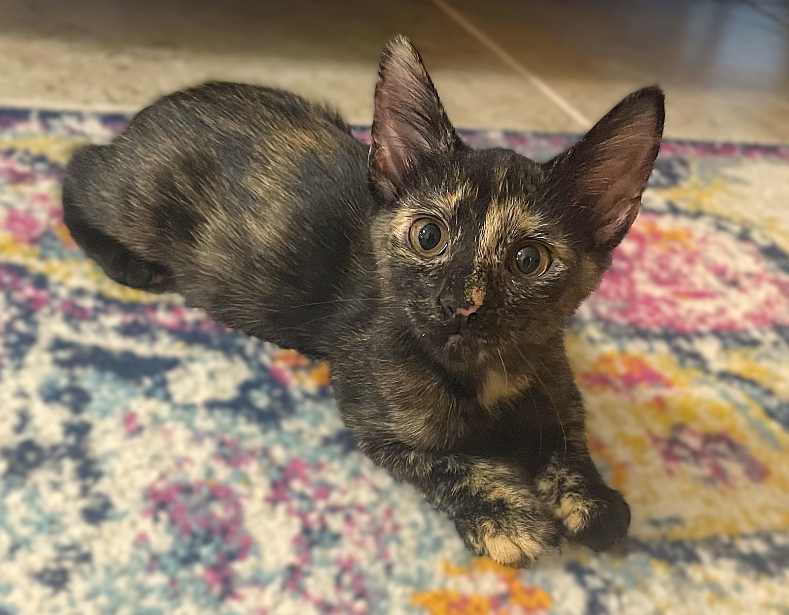 Flopsy