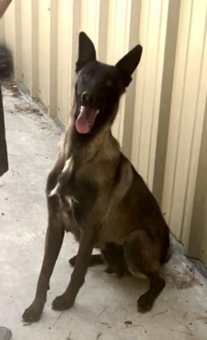 Raina - Located in CA