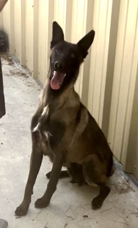 Raina - Located in CA