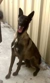 Raina - Located in CA photo 1