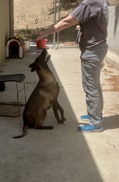 Raina - Located in CA