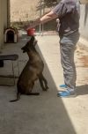 Raina - Located in CA photo 3