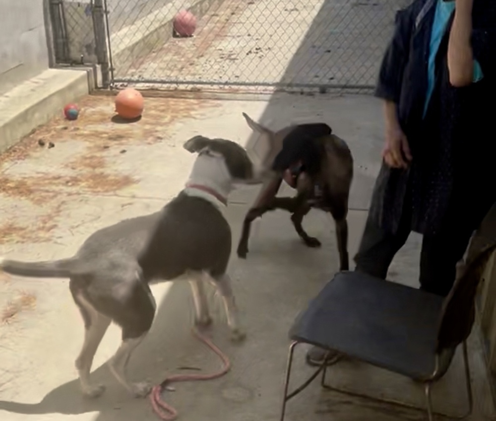 Raina - Located in CA