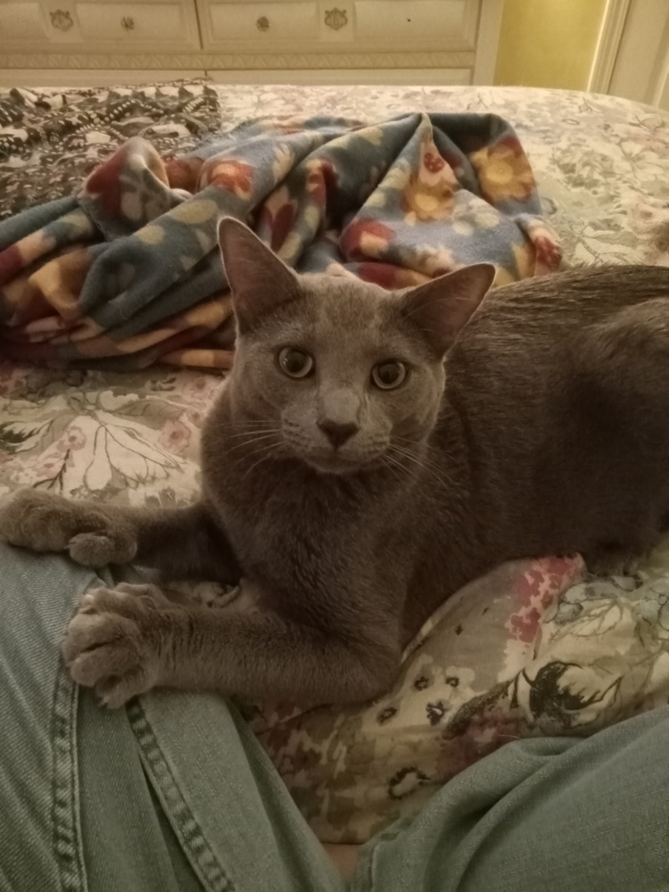 KJ