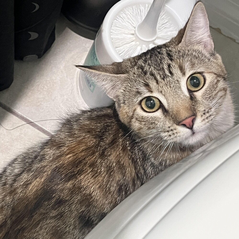 Rita