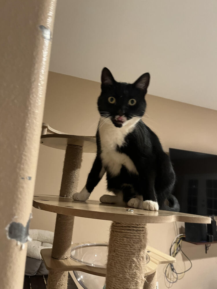 Binx