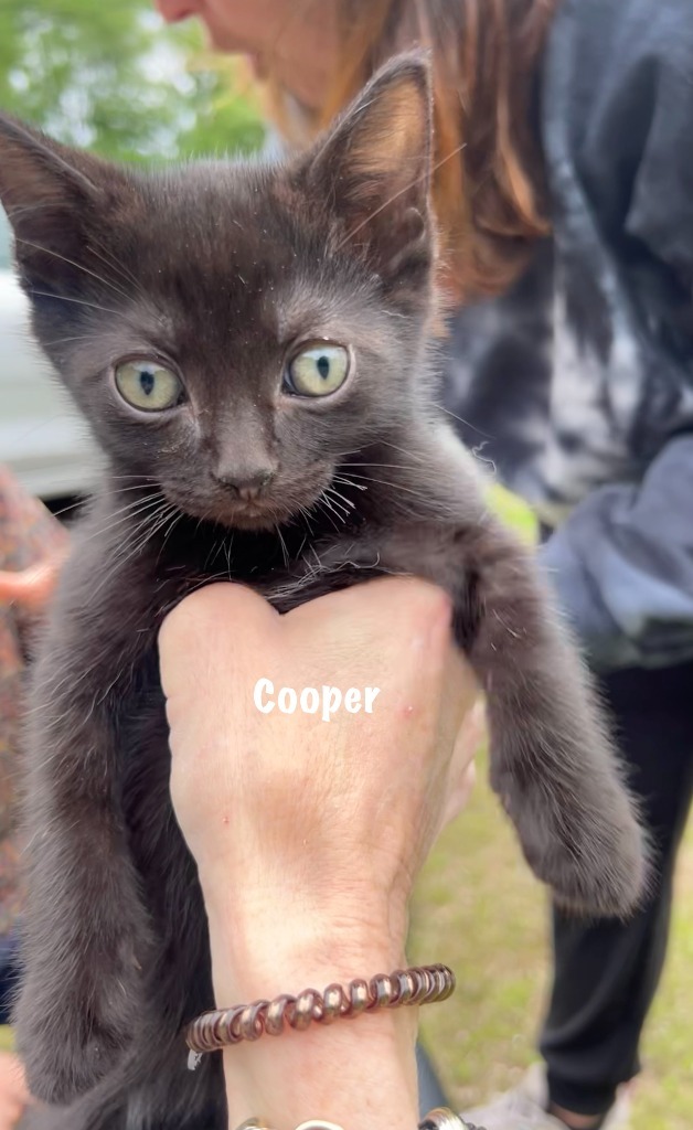 72B-Cooper