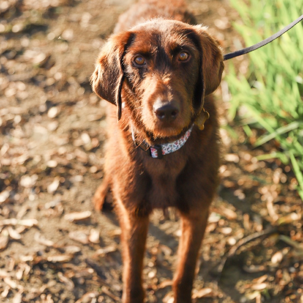 Della
