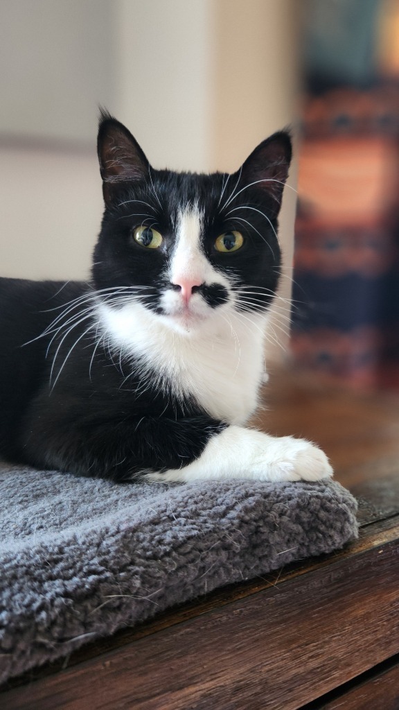 Rosa (Rosie)
