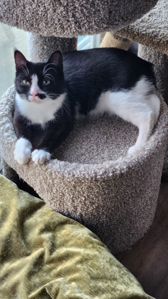 Rosa (Rosie)