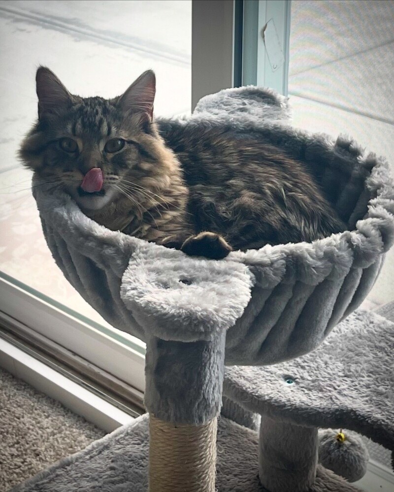 Leo