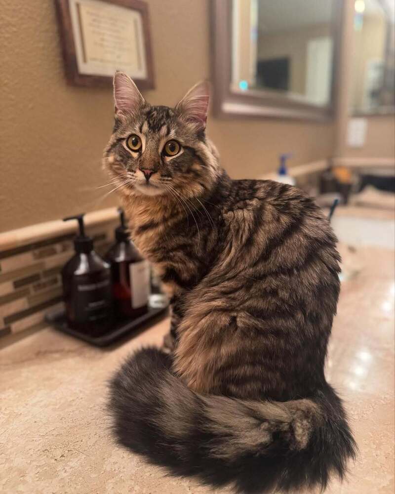 Leo