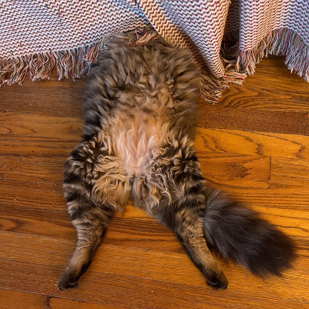 Big