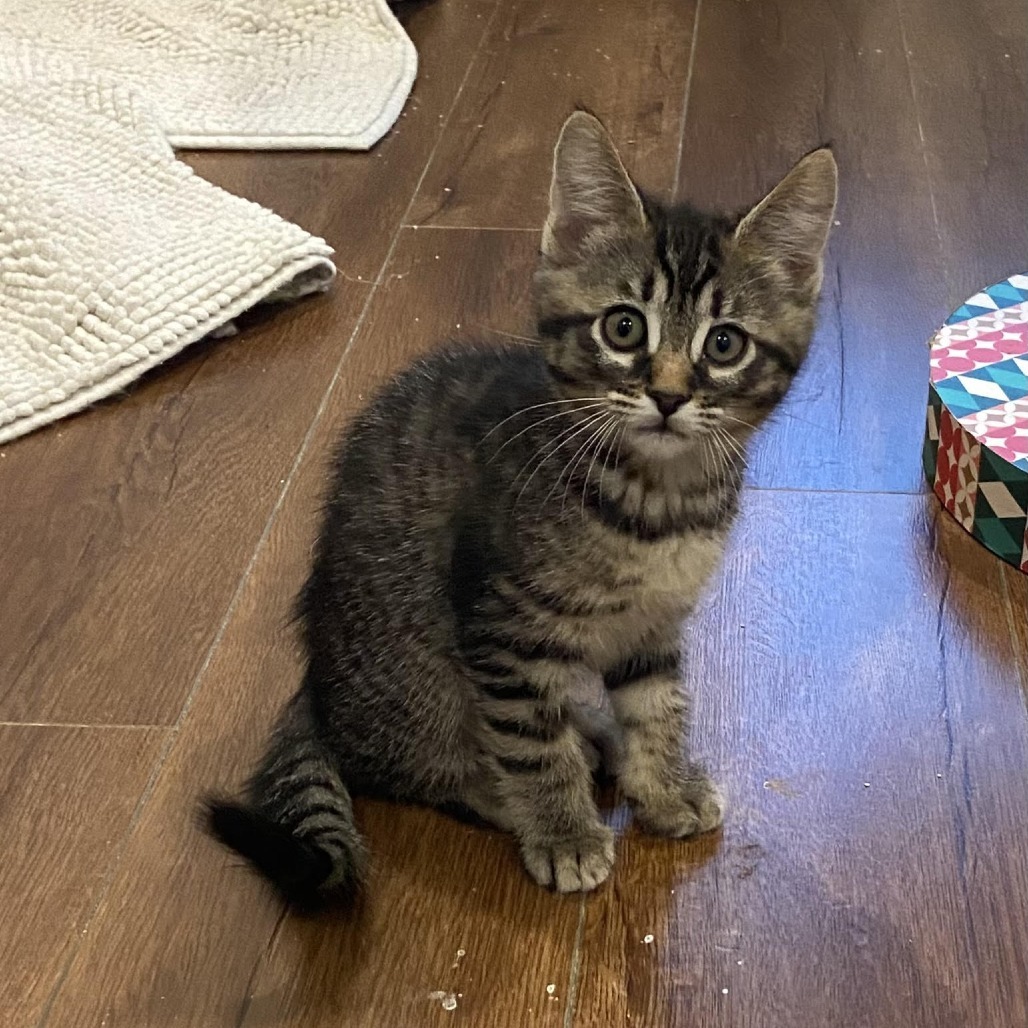 Ronan