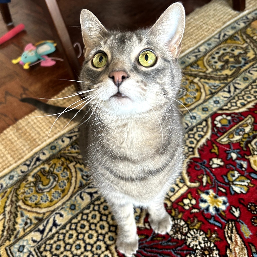 Zoey
