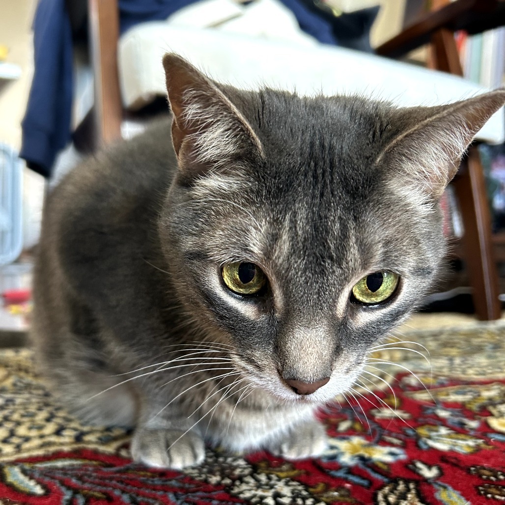 Zoey
