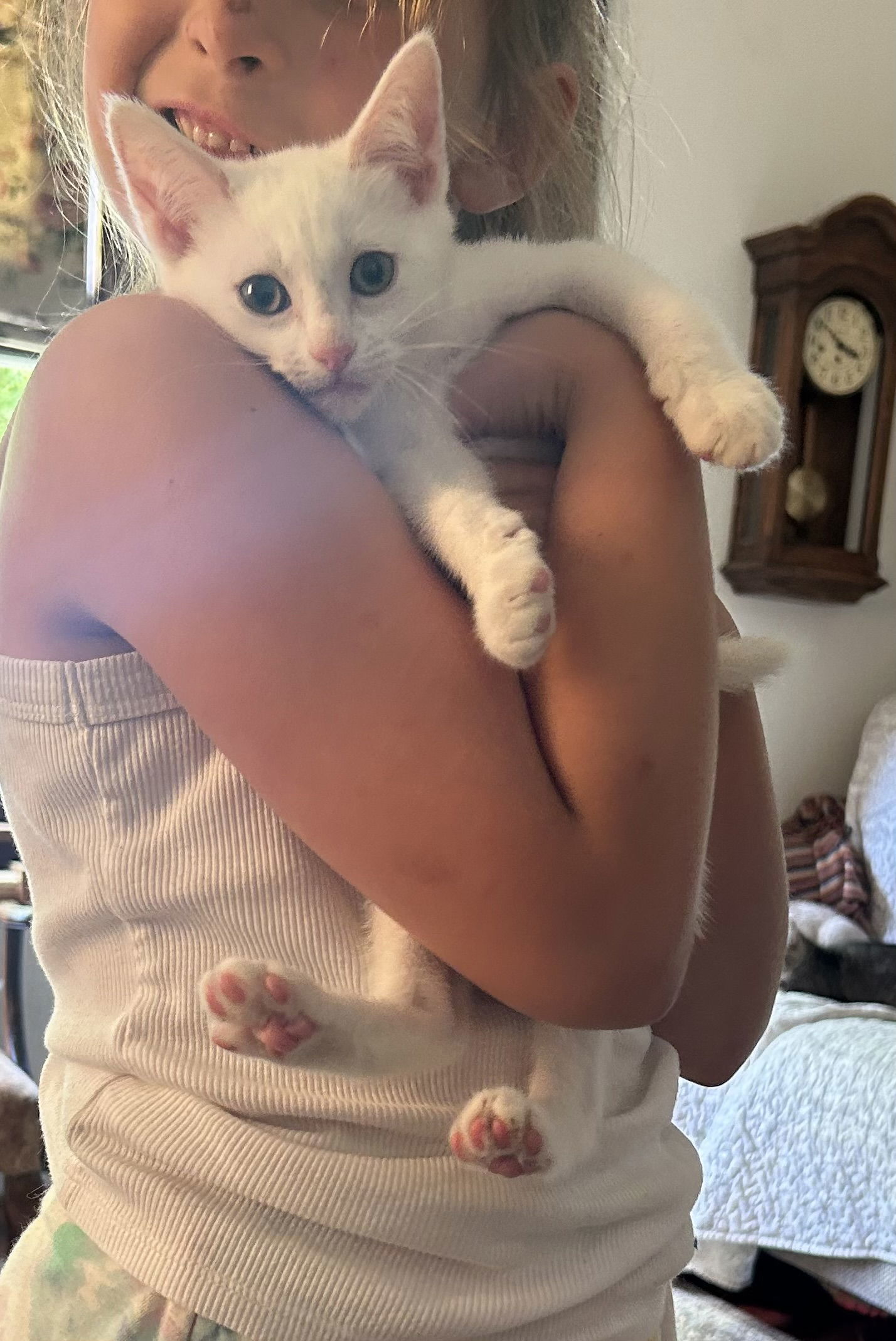 Tofu (Napa MC)