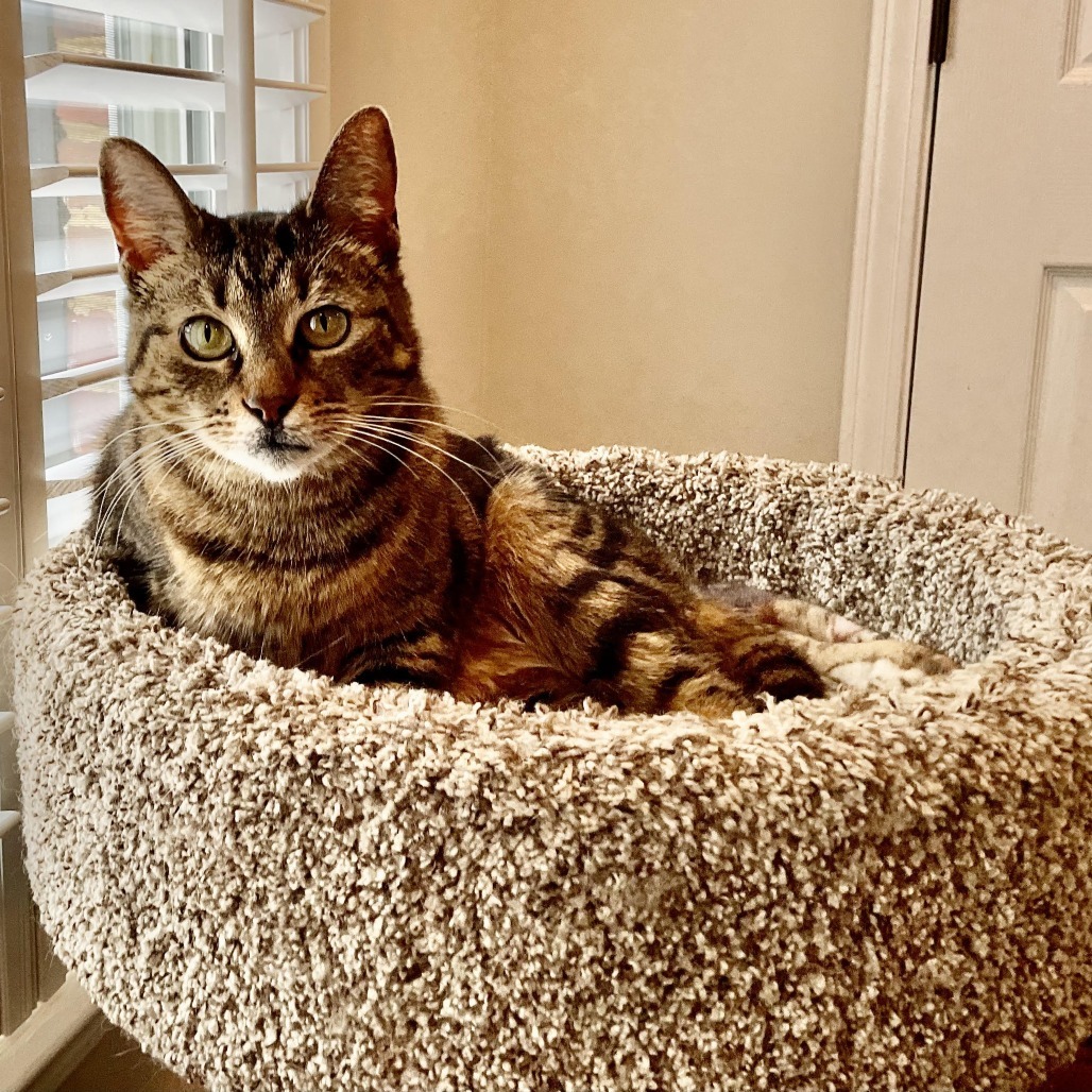 Suzie