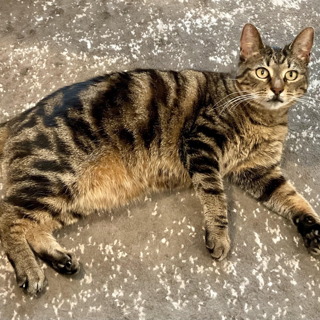 Suzie
