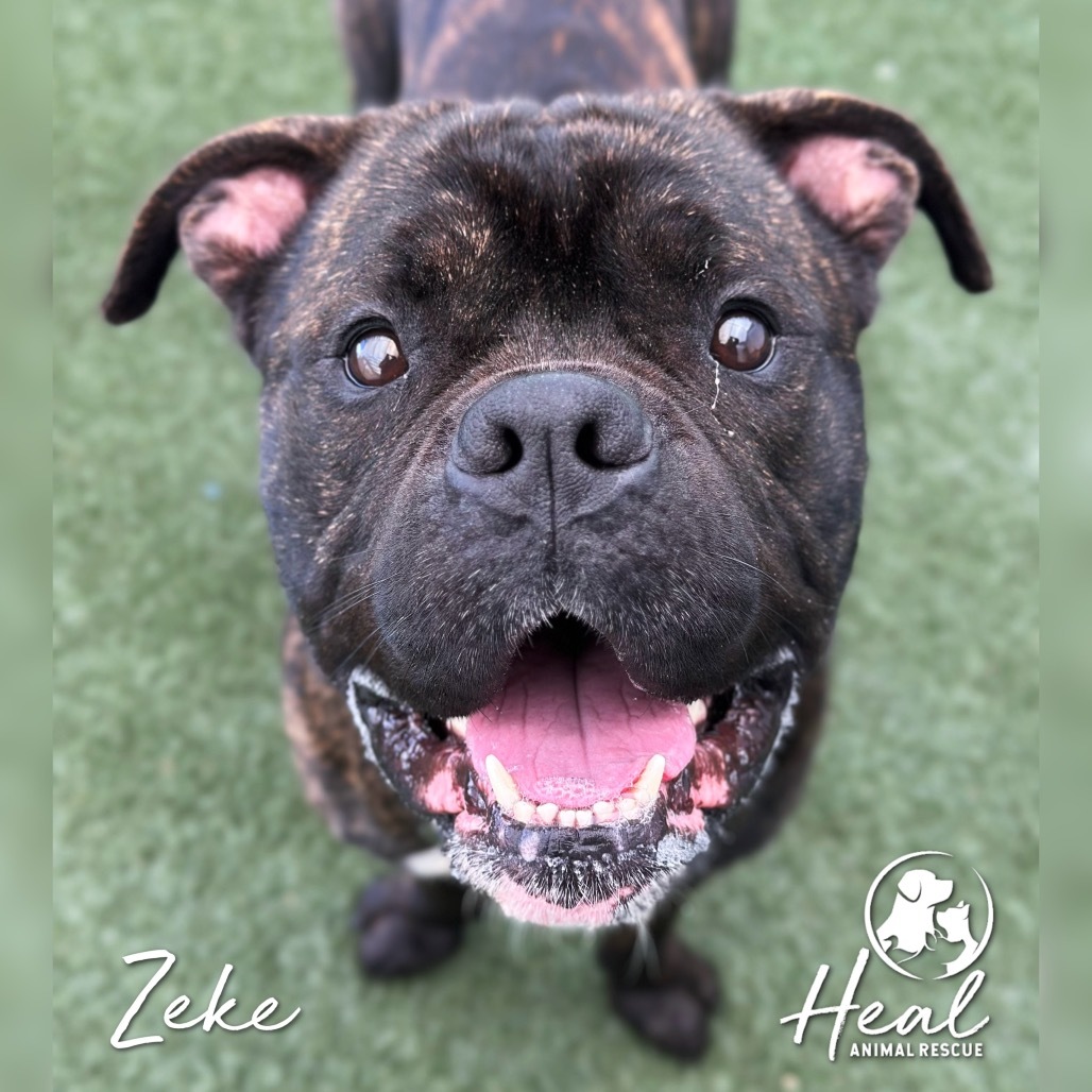 Zeke