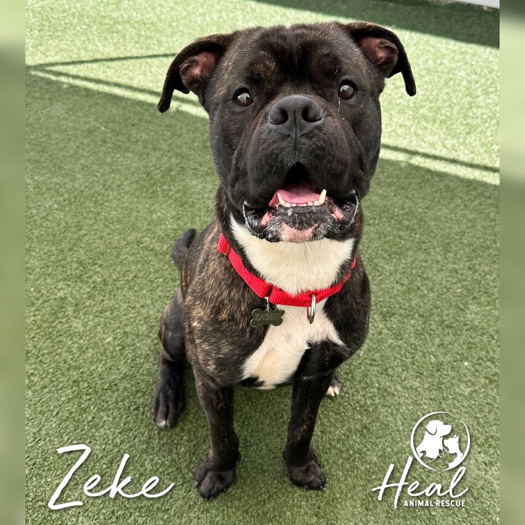 Zeke