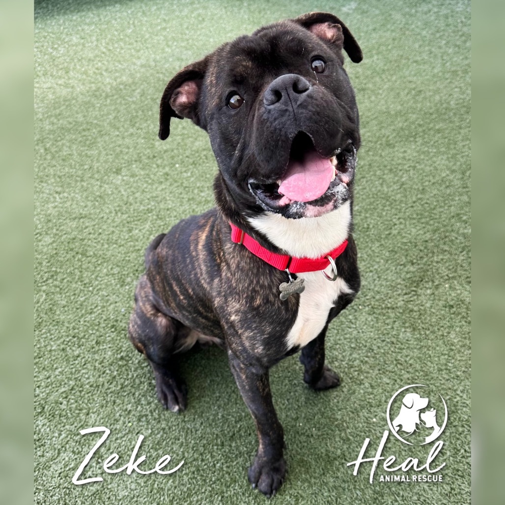 Zeke