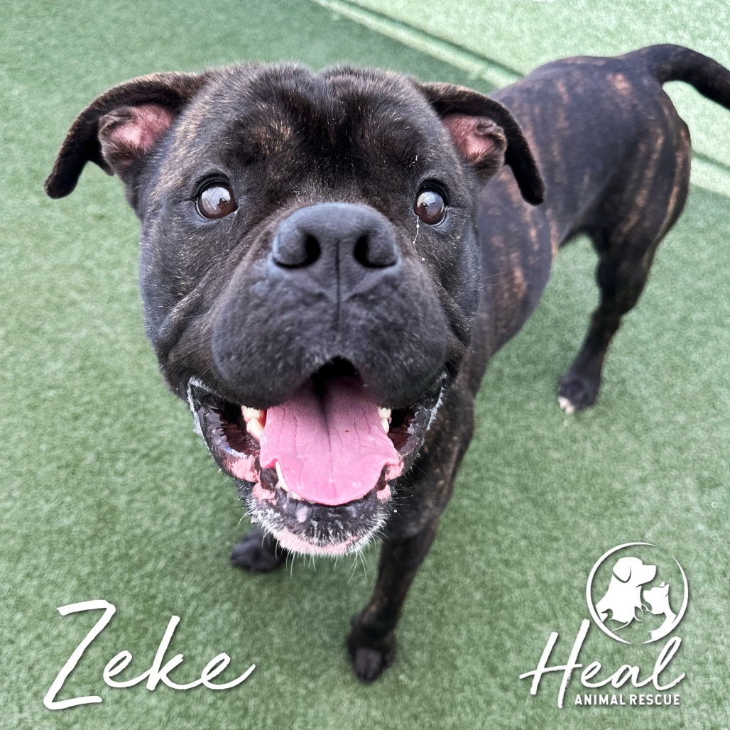Zeke