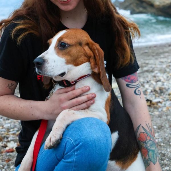Ruthie thumbnail 4