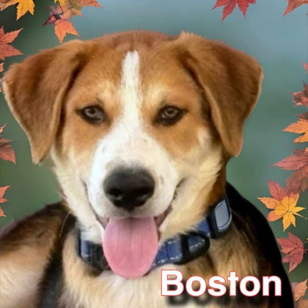 Boston