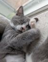 Gigi photo 4