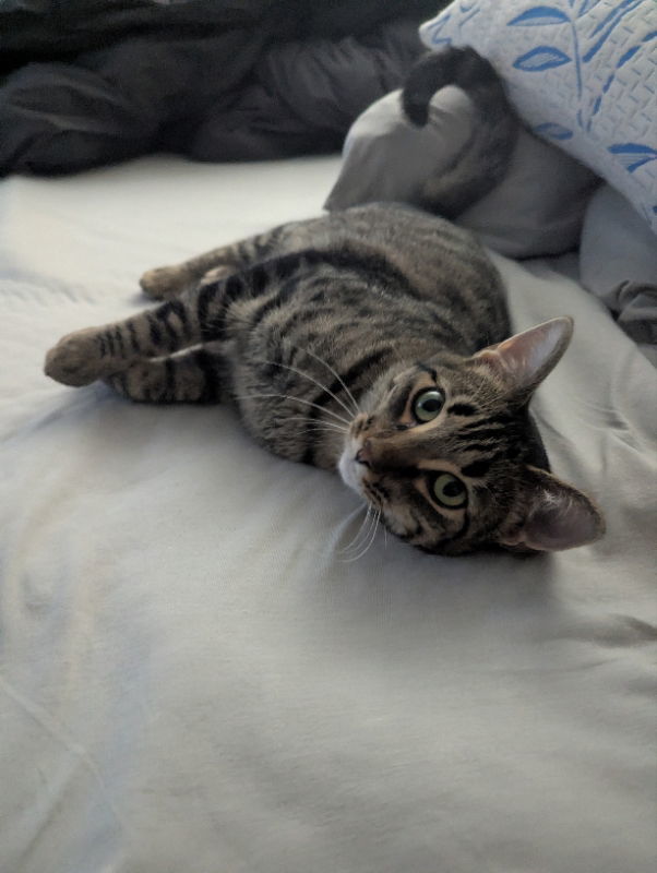 Rosie