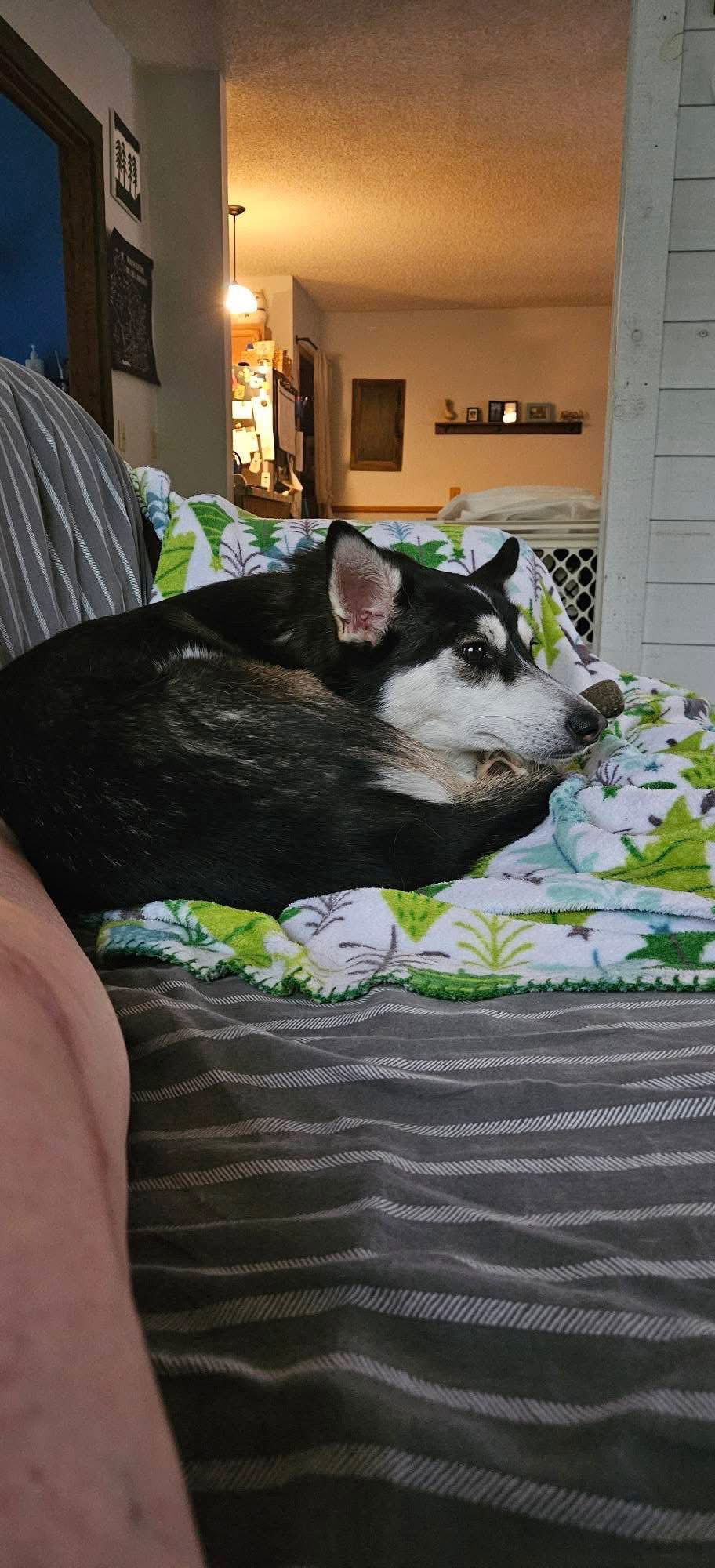 Dori
