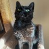 Anikan photo 6