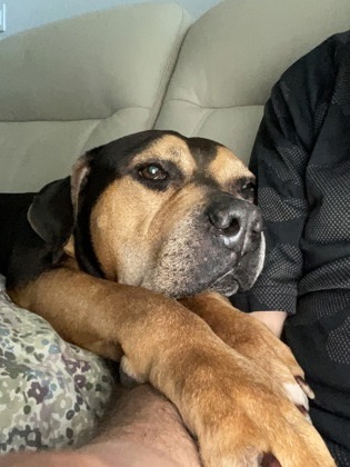 ZEUS