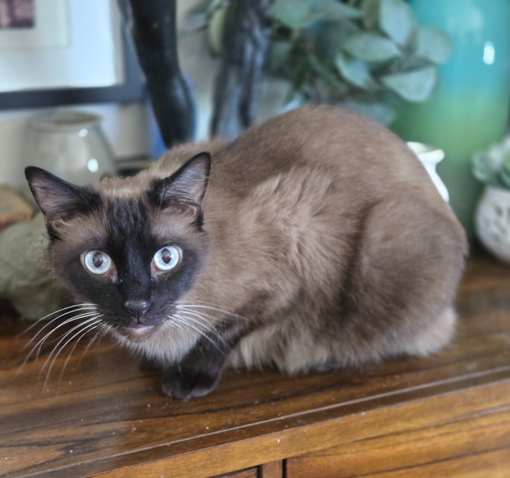 Eli