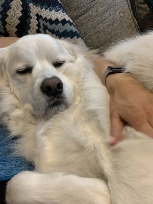 Icey Roo AKA Buddy DFW