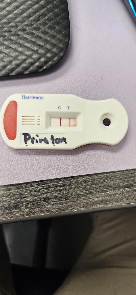 Princeton